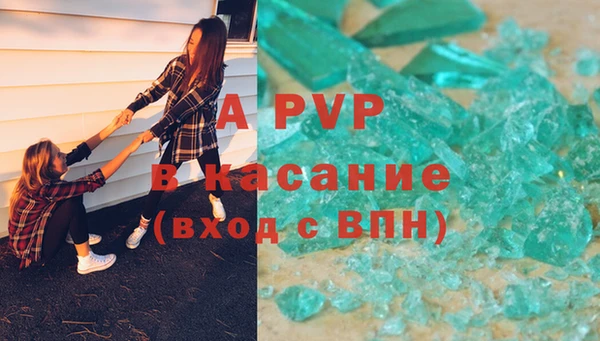 стаф Магас
