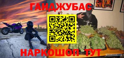 мет Кингисепп