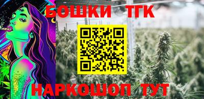 мет Кингисепп