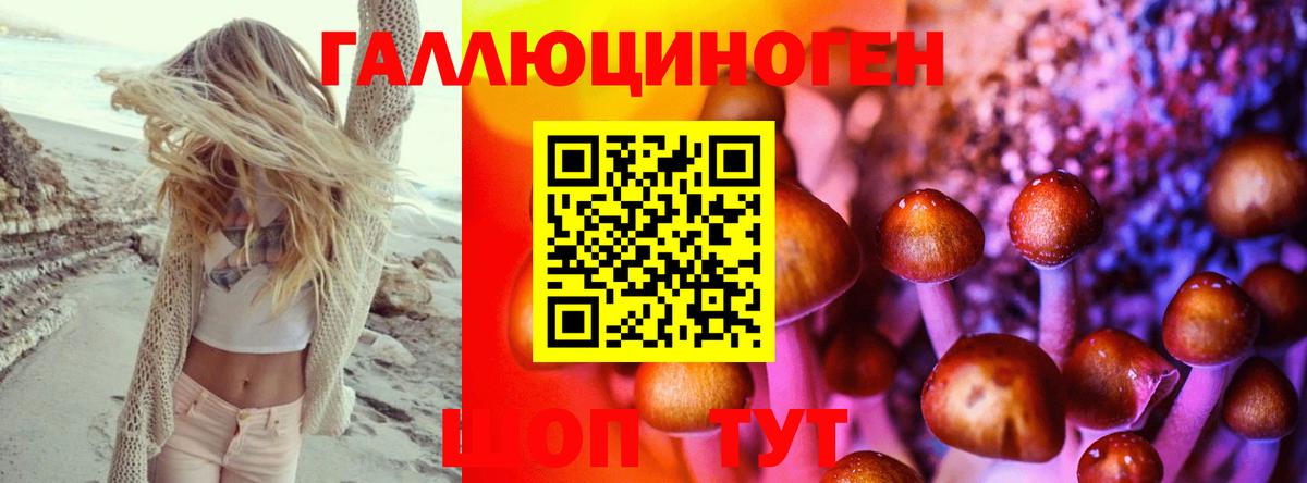 Псилоцибиновые грибы Psilocybine cubensis Новочеркасск
