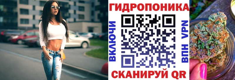Бошки Шишки план  сколько стоит  Новочеркасск 