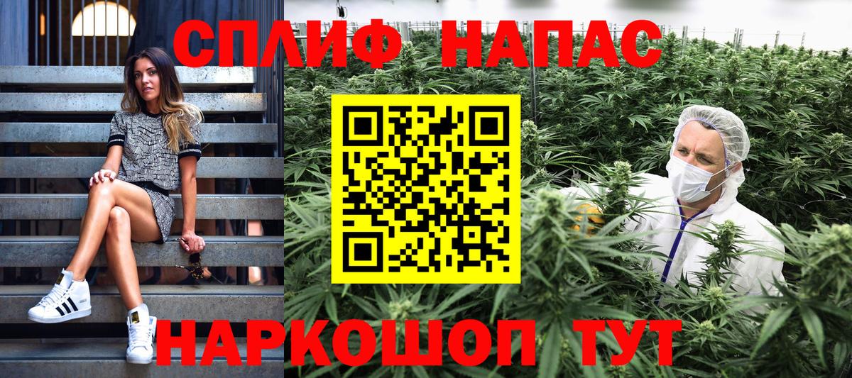 Конопля OG Kush Новочеркасск